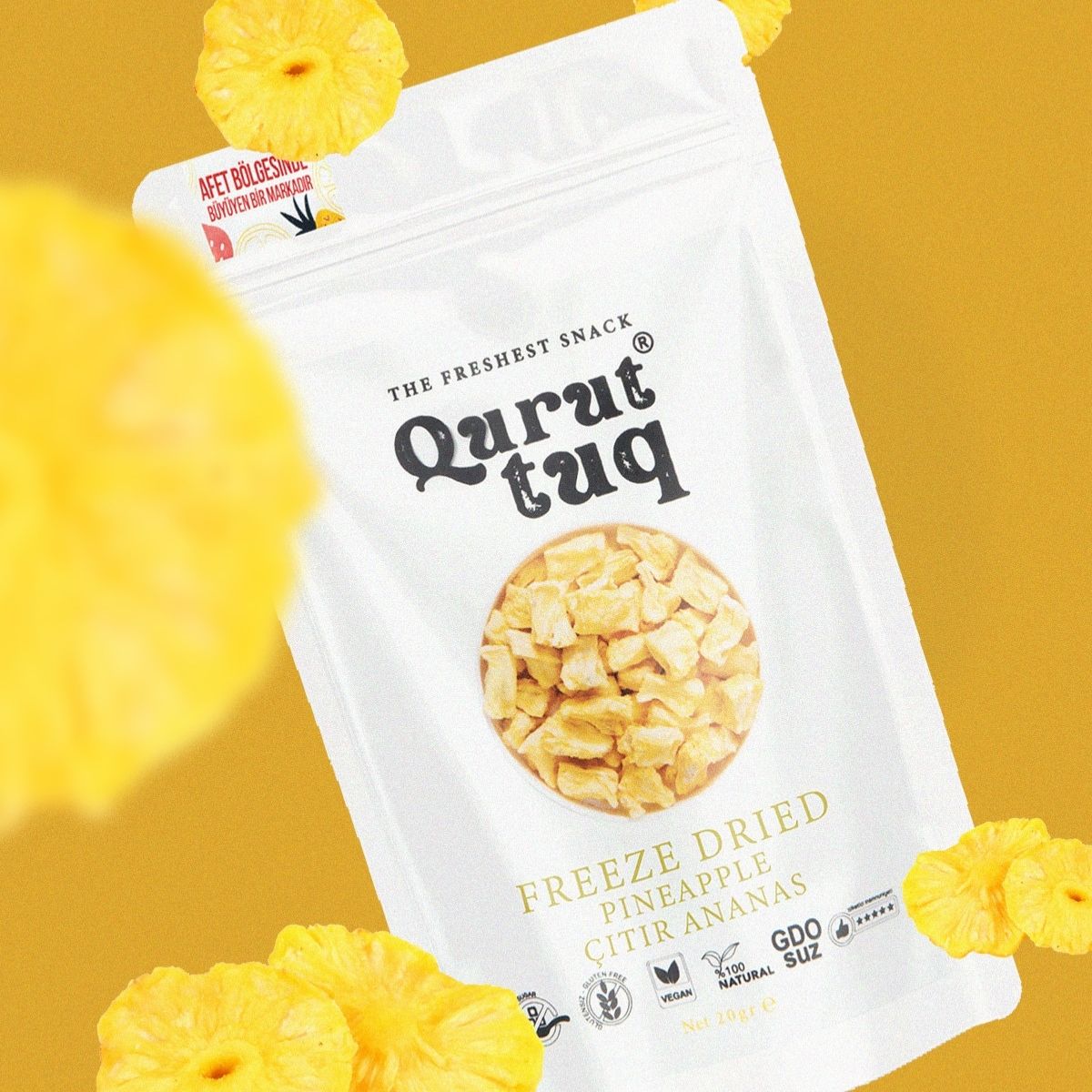 Freeze Dried Dondurularak Kurutulmuş Çıtır Ananas 20g